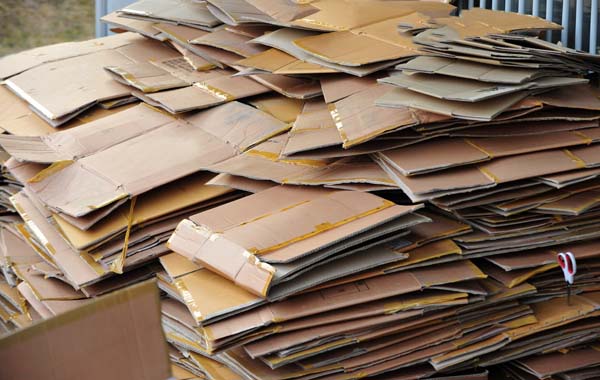 Pet Waste Management