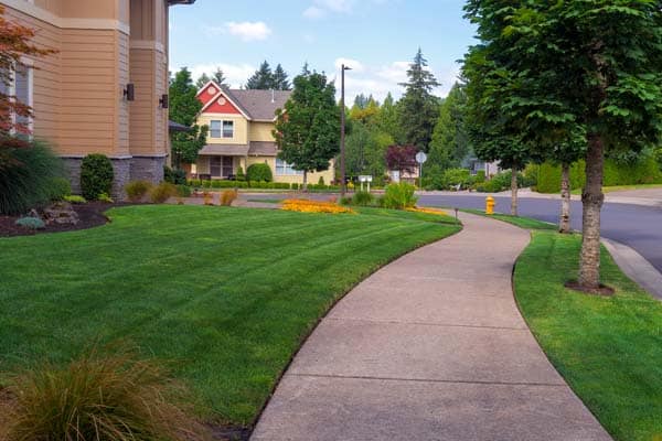 Roofing & Construction Company for Sale! Established and Profitable!