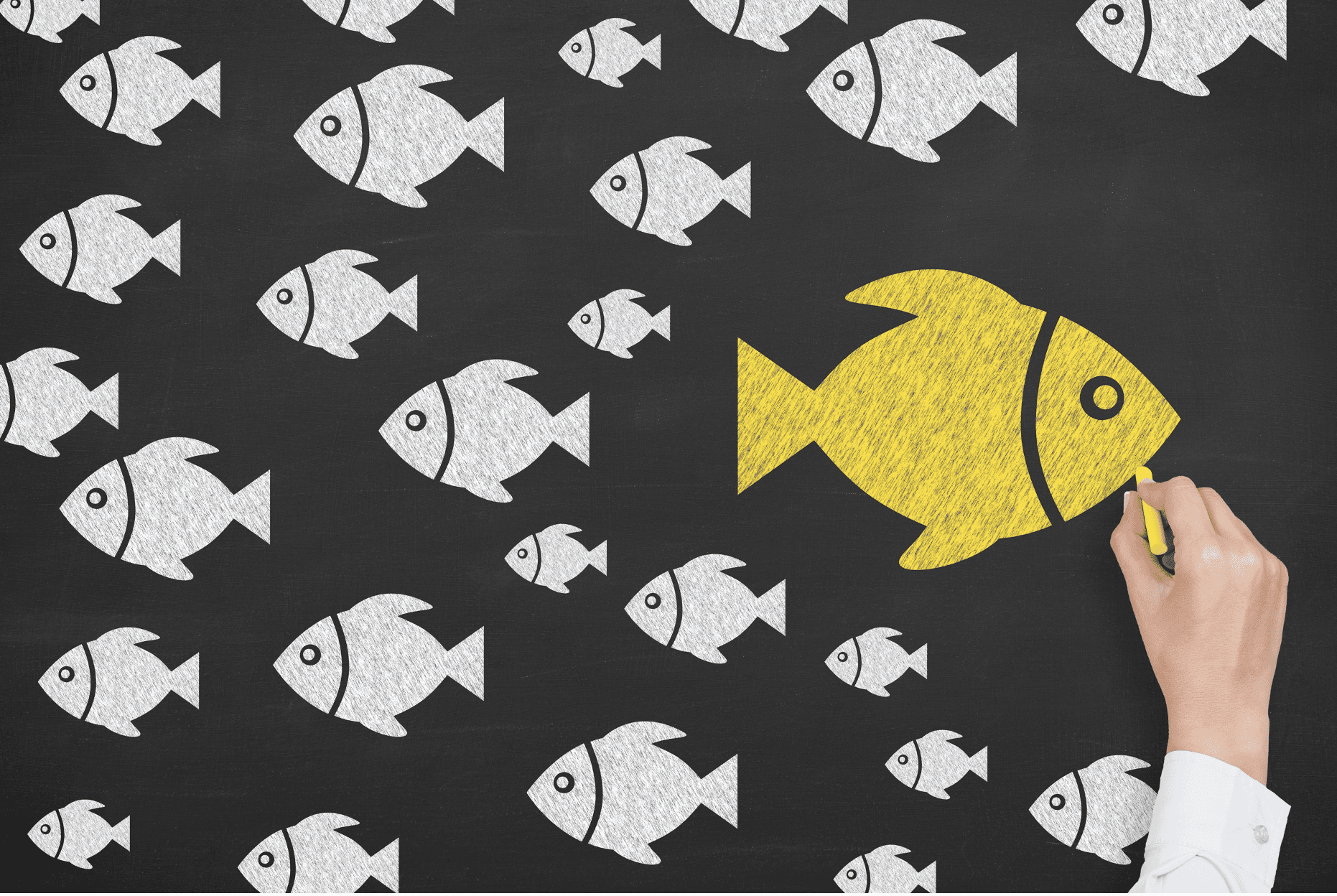 Where to sell a digital business