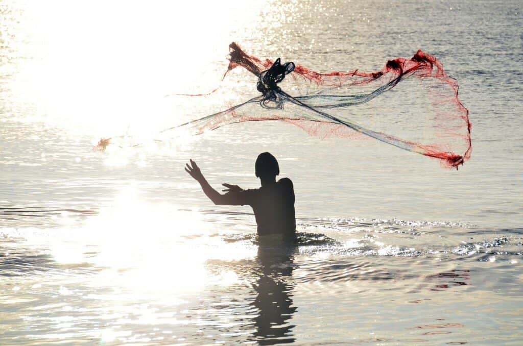cast a global net